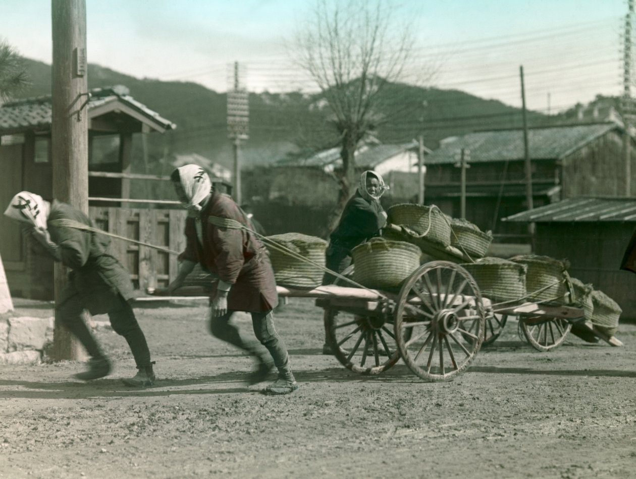 Paysans japonais tirant des sacs de riz sur une charrette, vers 1900 - 1915 (photographie) - Teijiro Takagi
