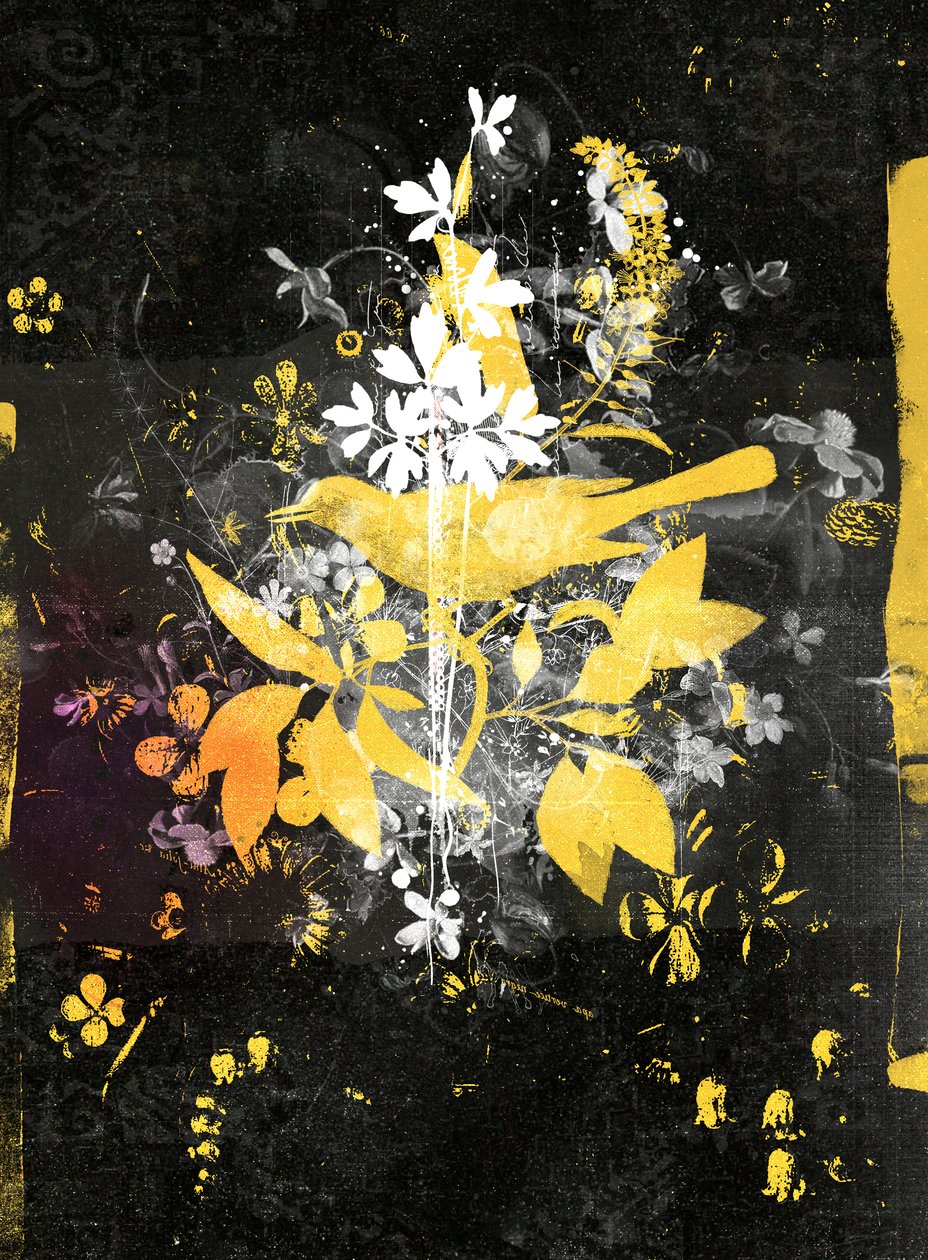 Lève-toi!, 2015 - Teis Albers