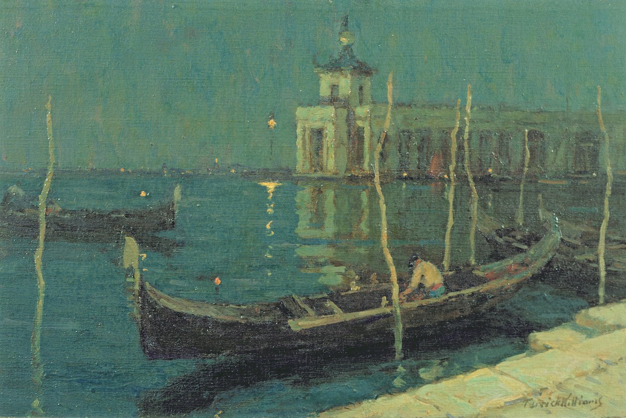 La Dogana de nuit, Venise - Terrick Williams