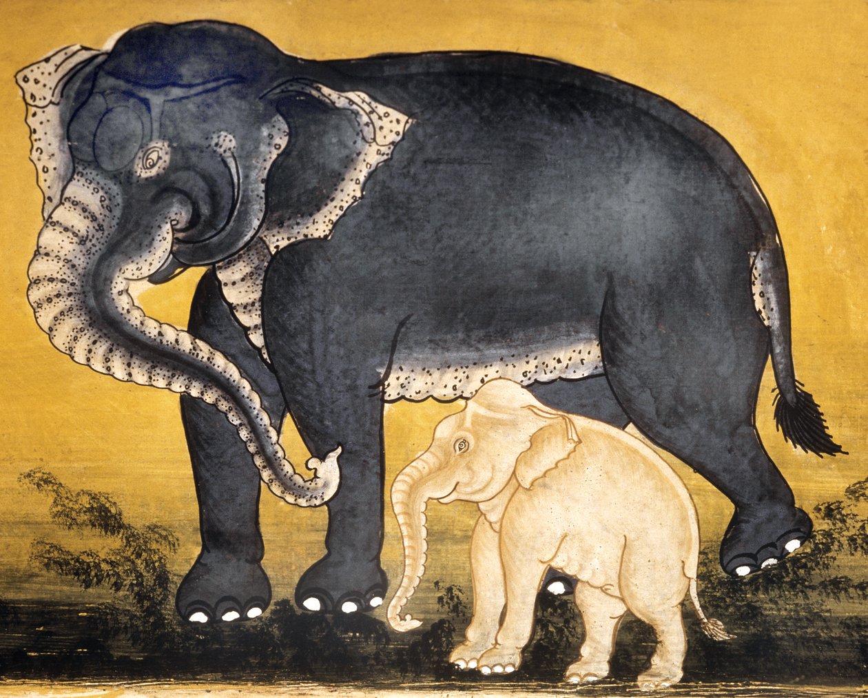 Éléphant et veau, page d