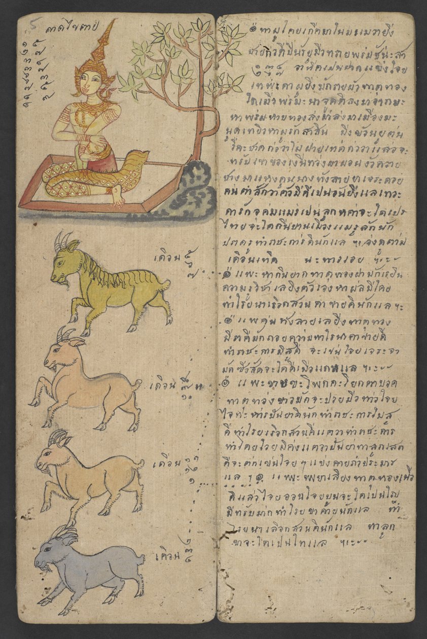 Animaux du Zodiaque, de Phrommachat (parchemin) - Thai School
