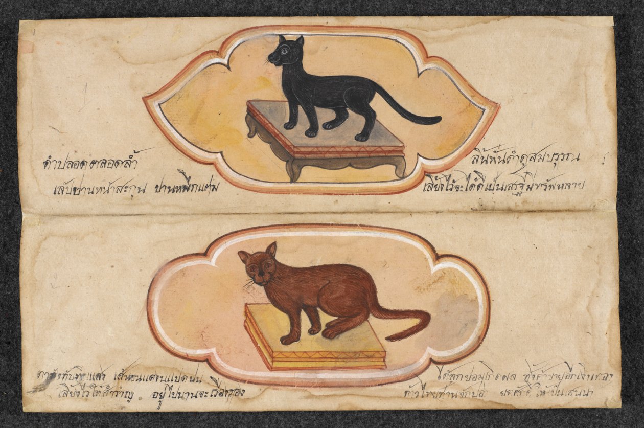 Chats siamois, Fol. 1 : deux chats porte-bonheur pour soutenir les affaires et l