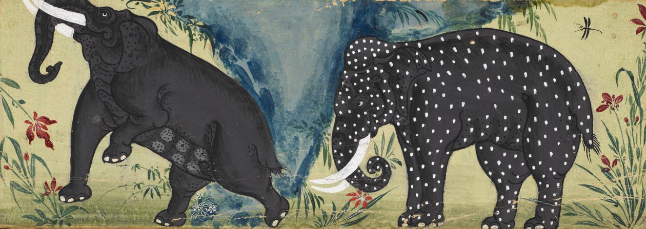 Deux éléphants près d