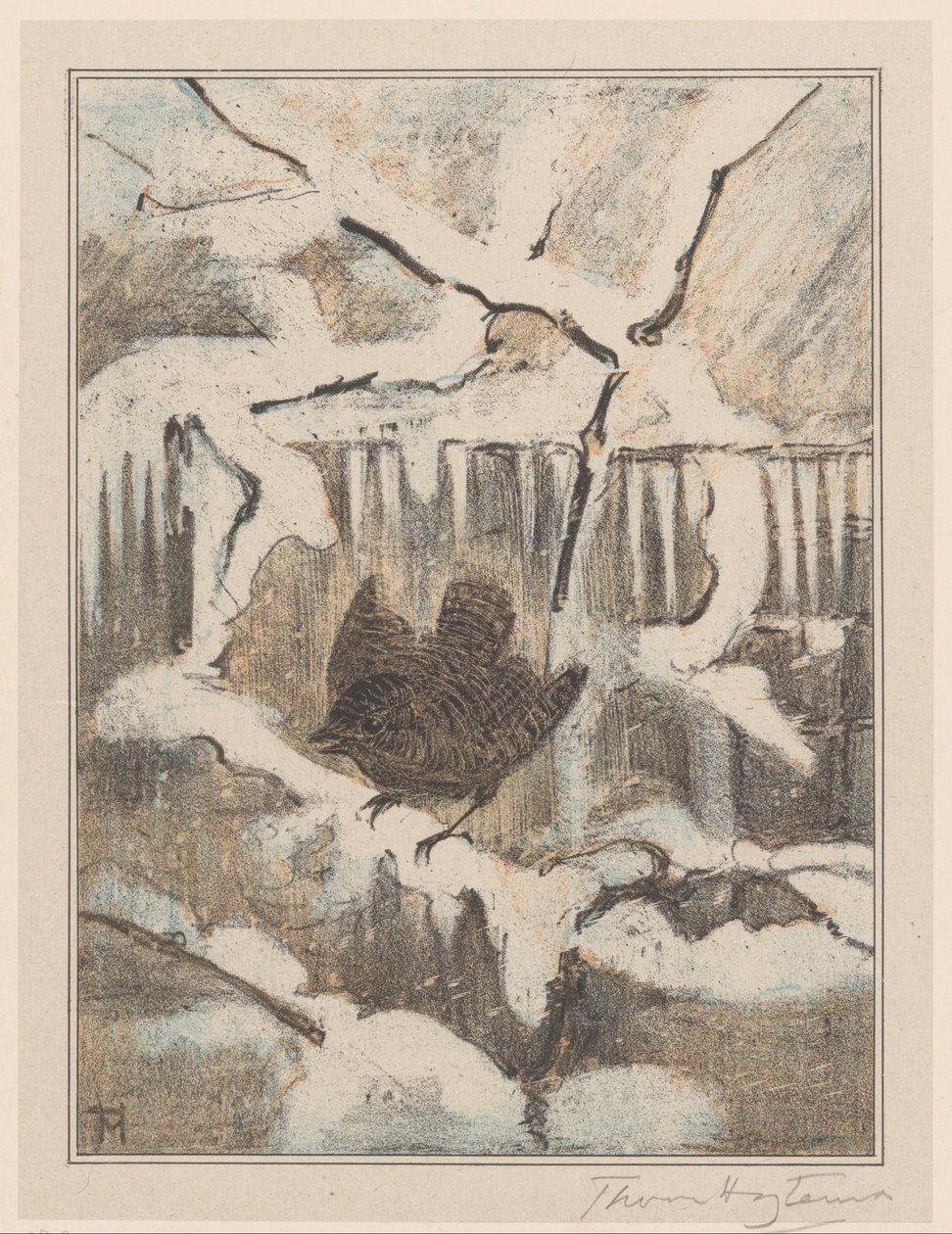 Troglodyte sur une branche enneigée - Theo van Hoytema (signed by artist)
