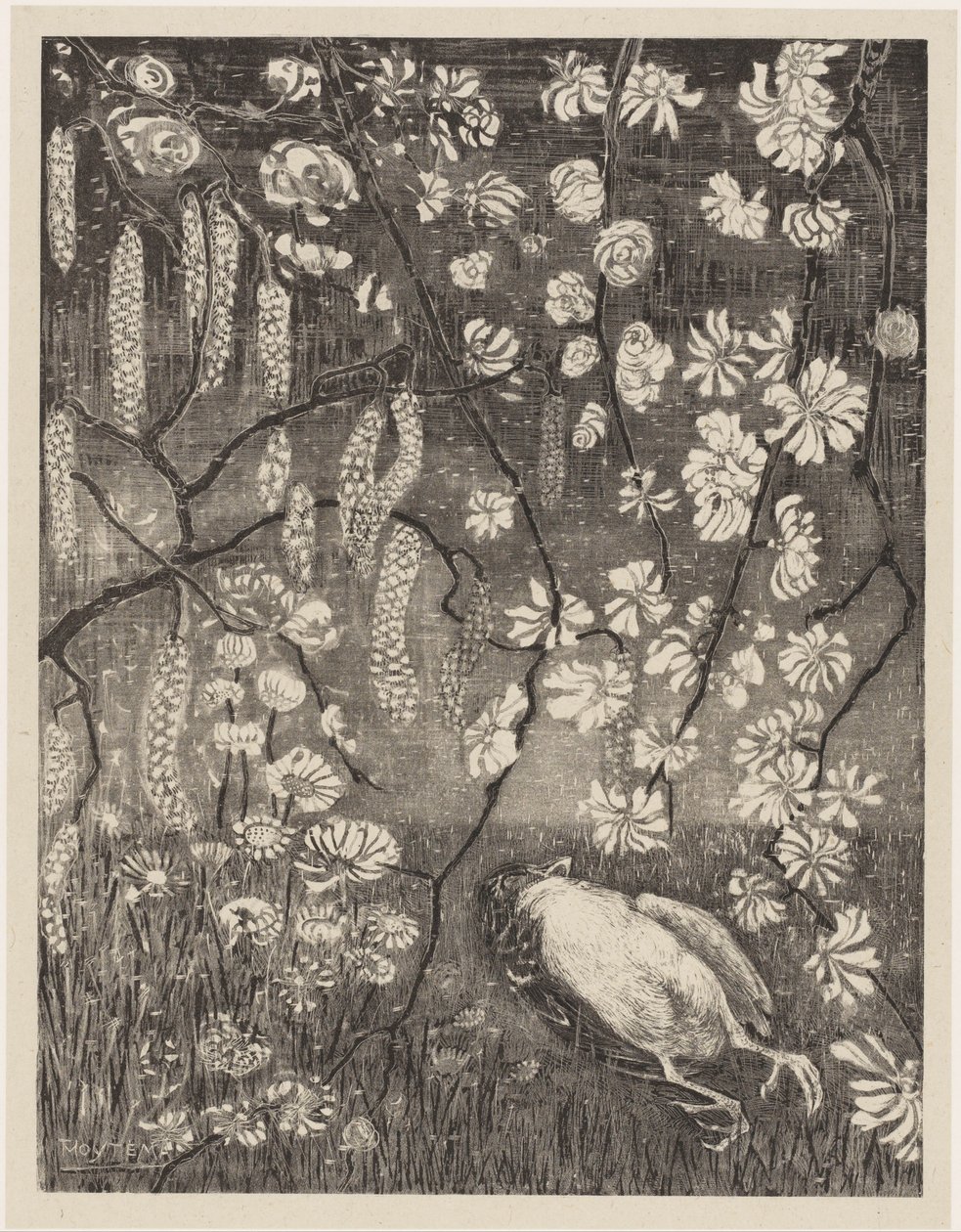 Petit oiseau mort sous des branches de noisetier et de chèvrefeuille (Bloemstudies) - Theo van Hoytema