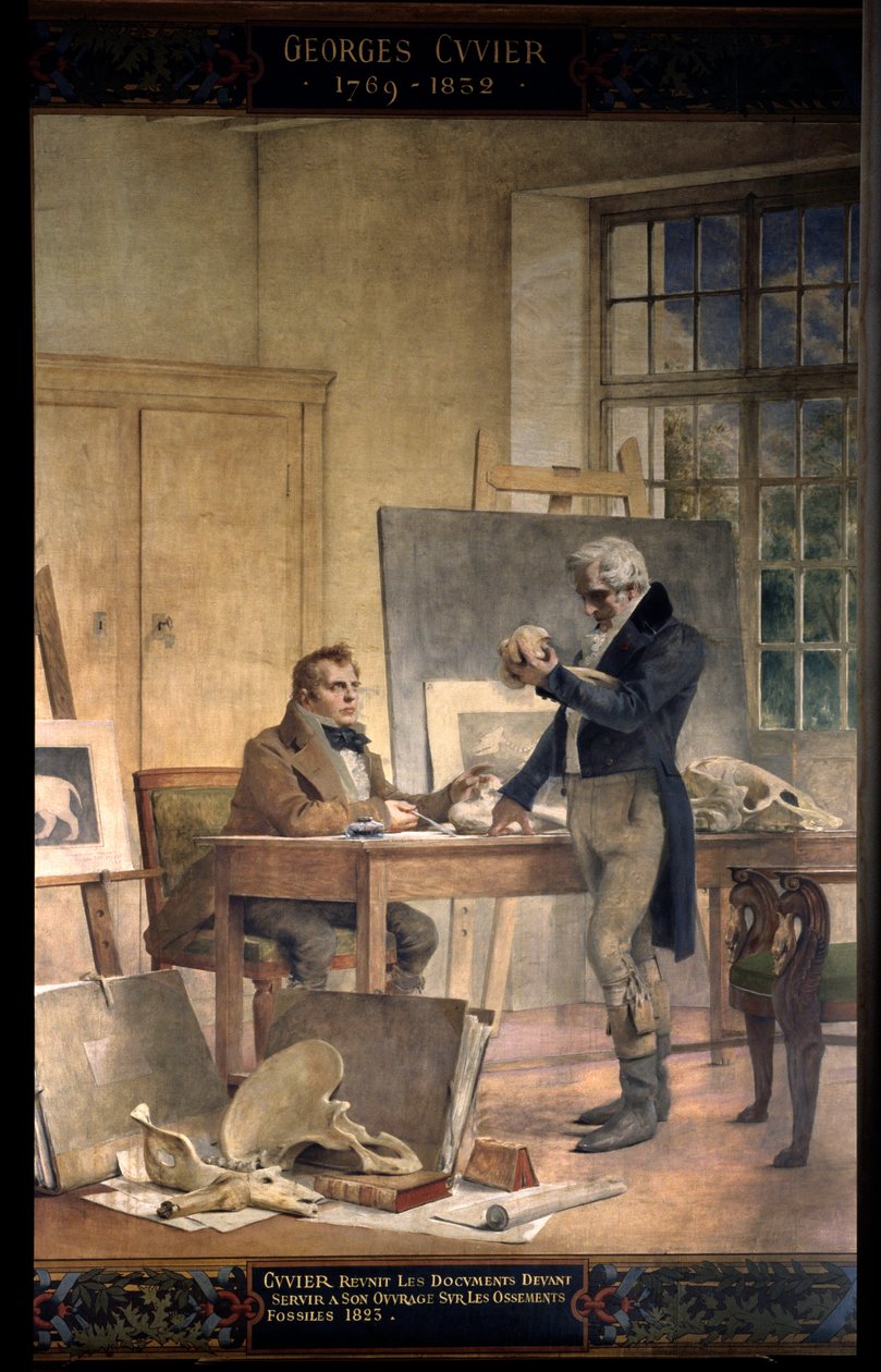 Paléontologie : le baron Georges Cuvier (1769-1832) réunit les documents pour son travail sur les os fossiles. Fresque par Théobal Chartran (1849-1907). Université de la Sorbonne, Paris - Theobald Chartran