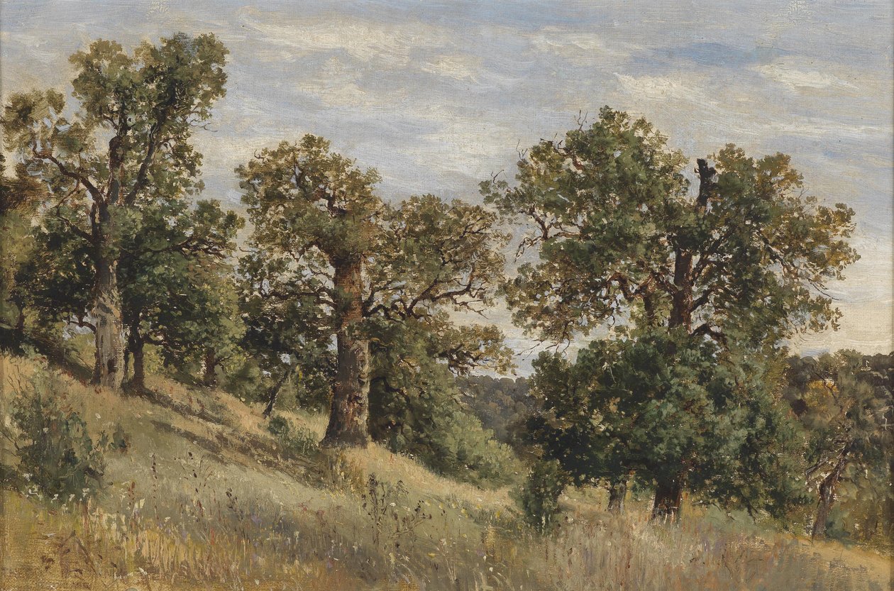 Pente de montagne avec arbre - Theodor von Hormann