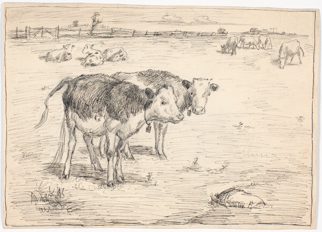 Un couple de veaux sur "Fladen", Saltholm - Theodor Philipsen