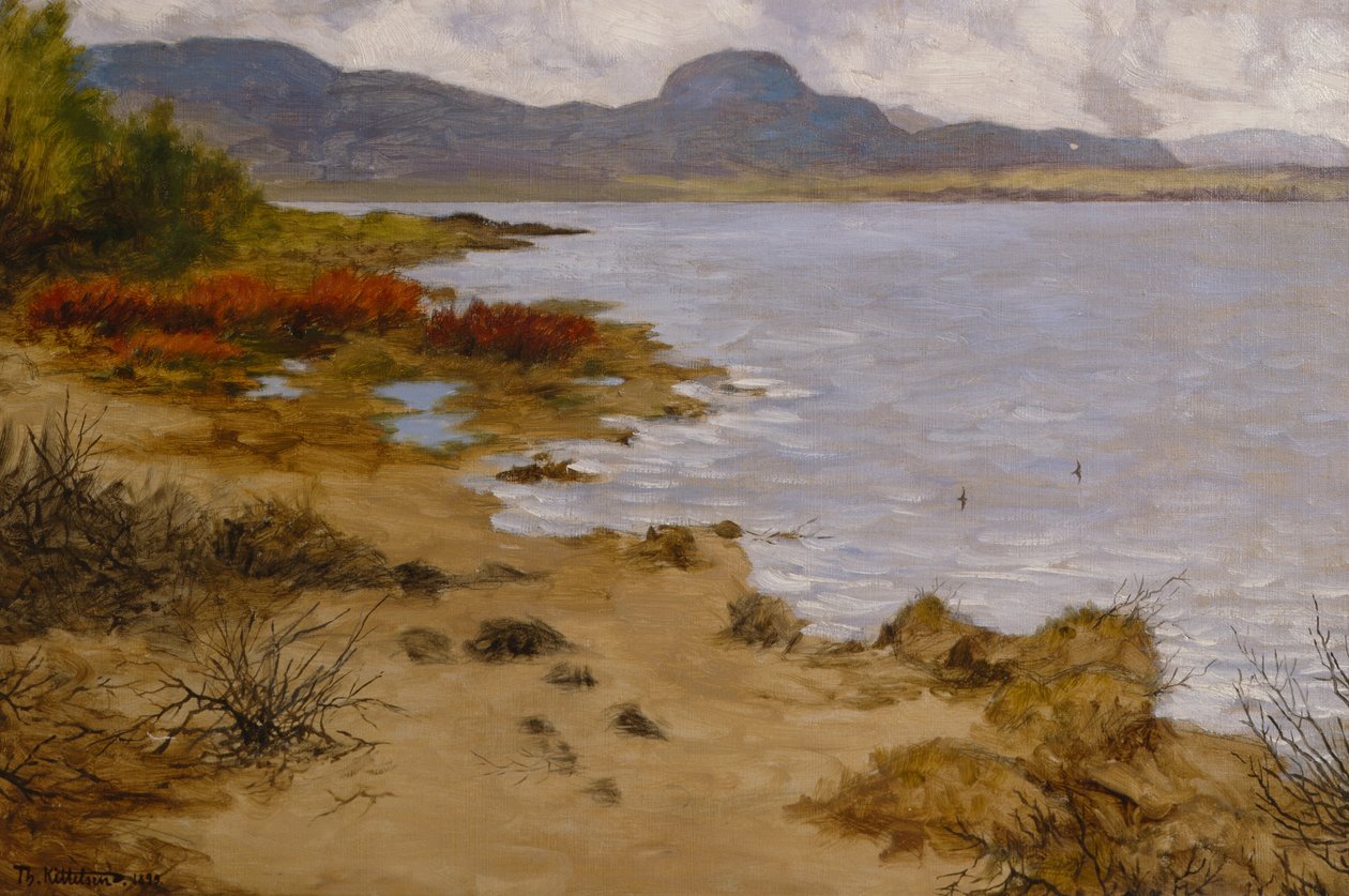 Section de plage à Soneren (Andersnatten) - Theodor Kittelsen