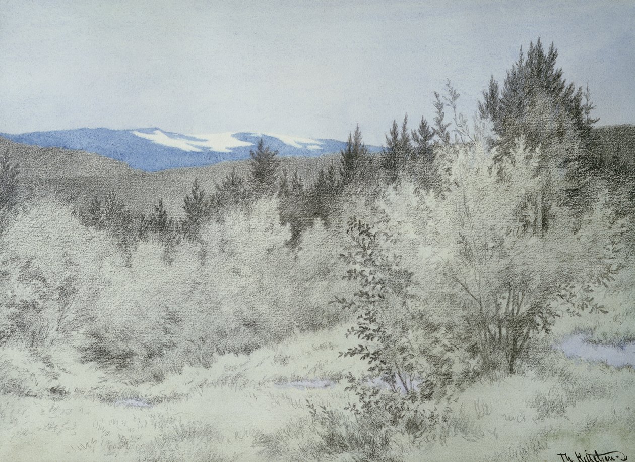 Loin, très loin dans la forêt - Theodor Kittelsen