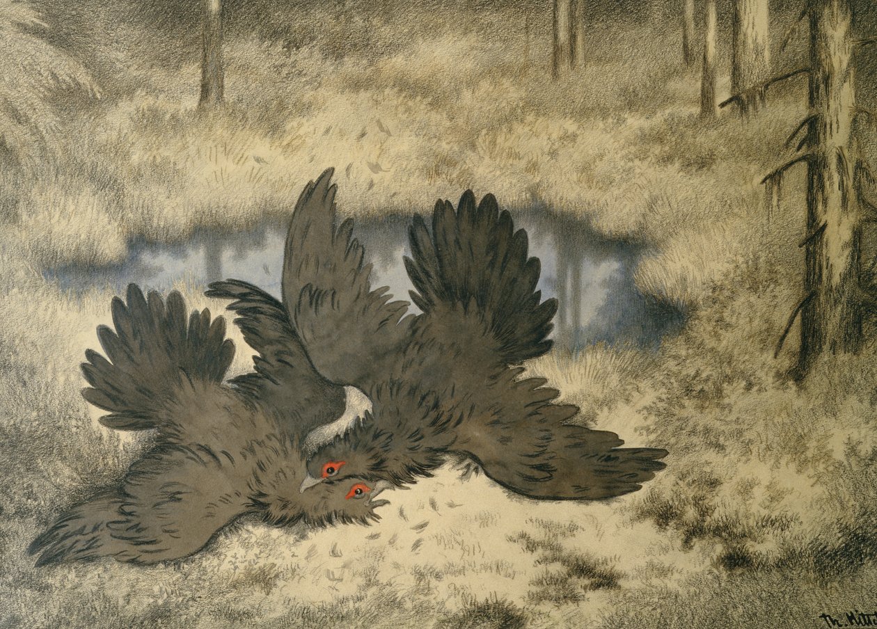 Le combat des oiseaux trolls - Theodor Kittelsen