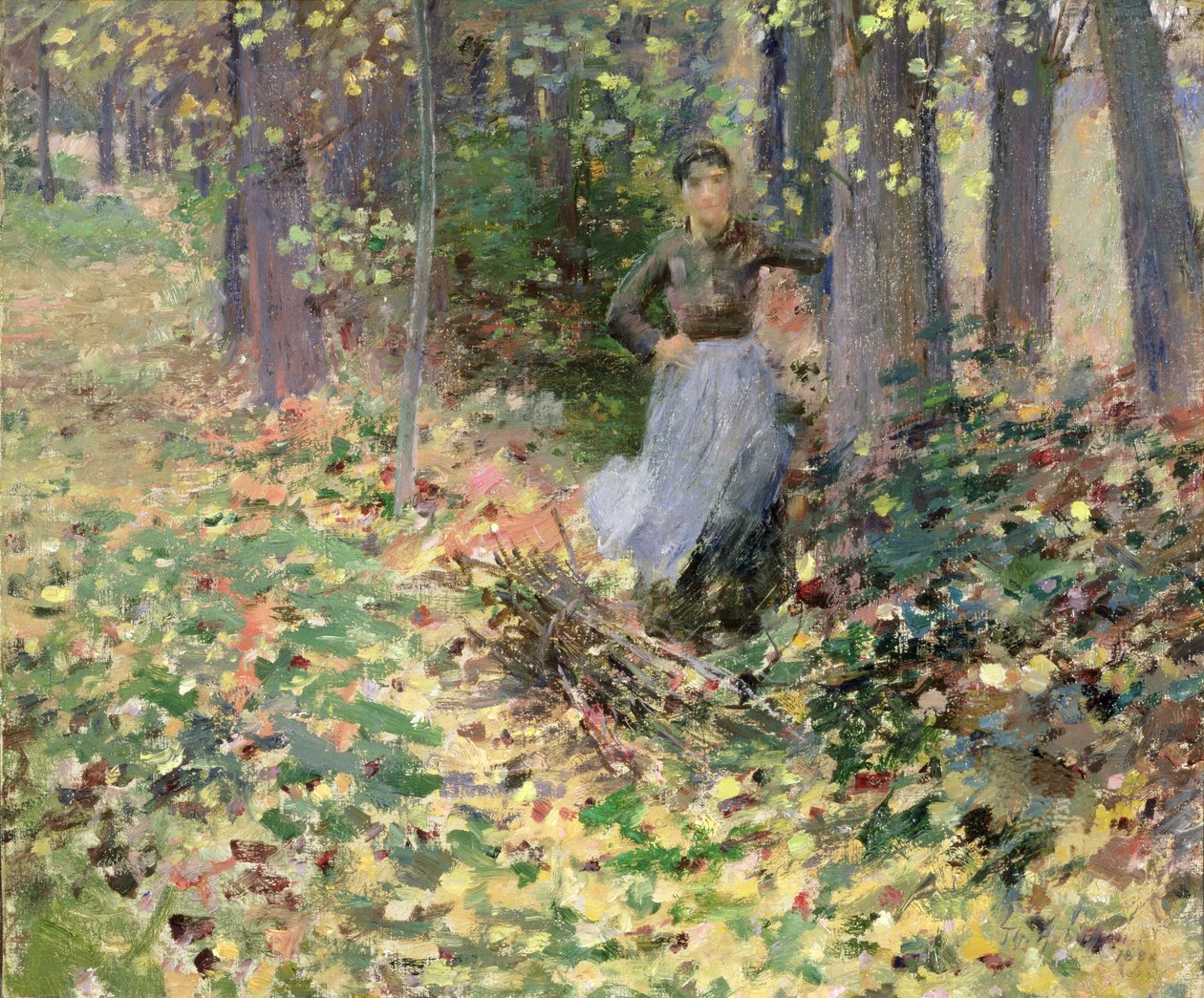 Lumière d