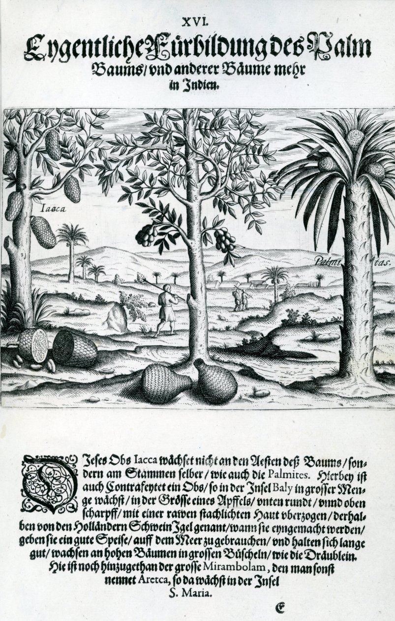 Paysage, Illustration de 
