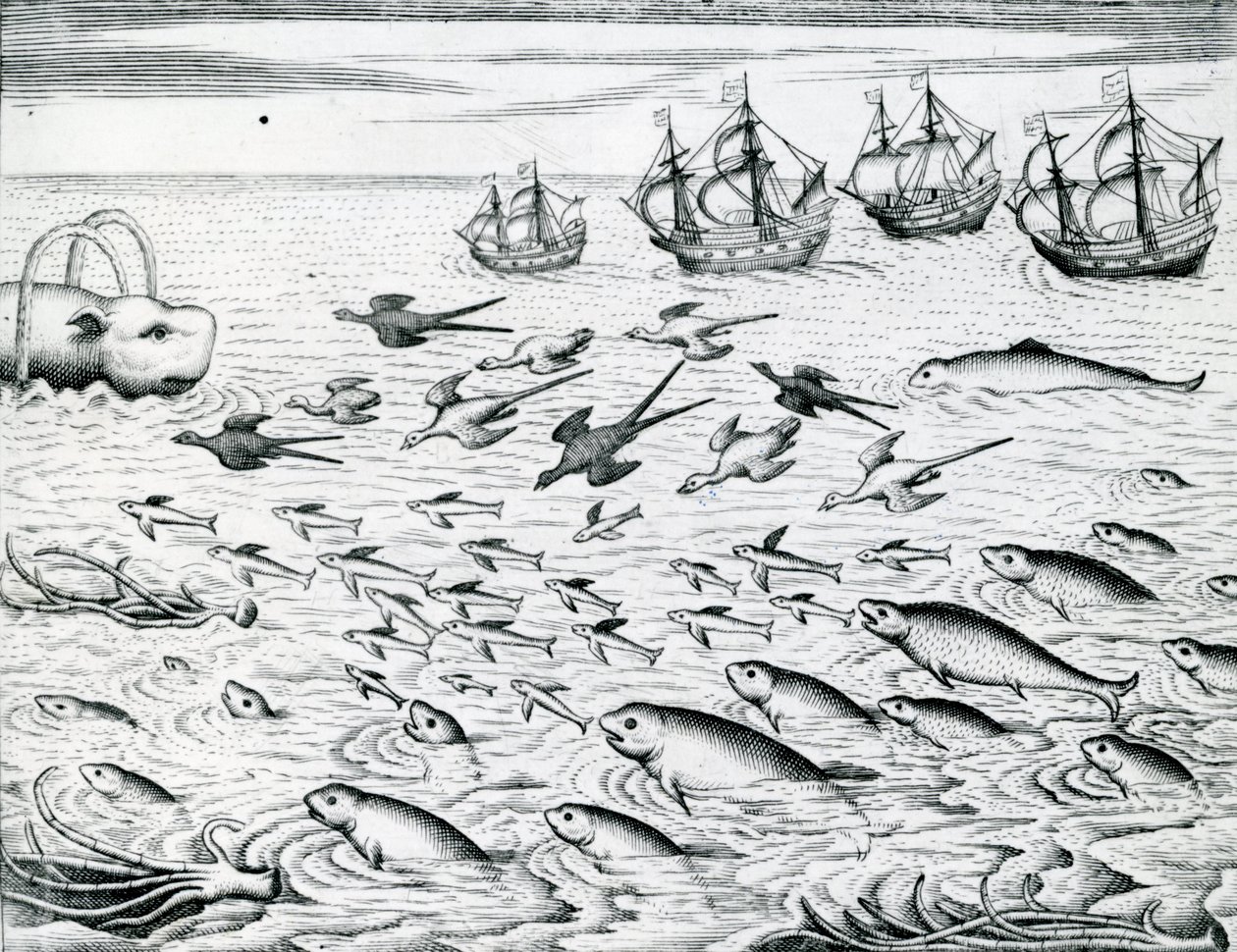 Paysage marin, illustration de 