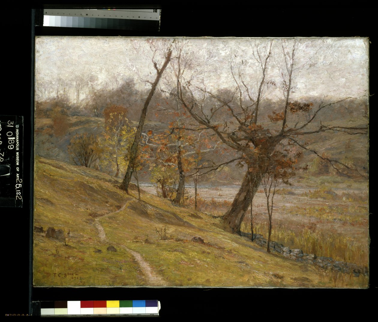 La floraison du raisin - Theodore Clement Steele