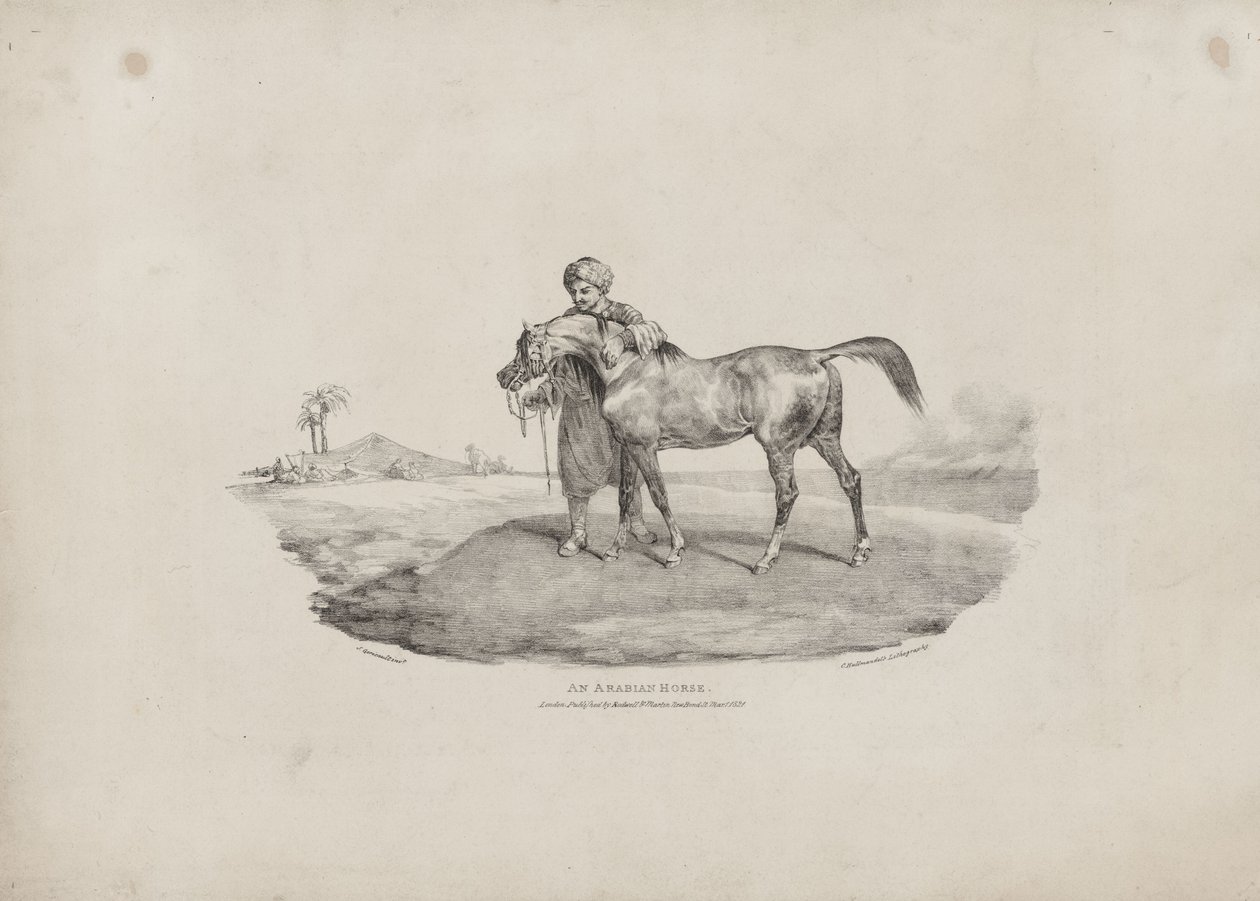 Un cheval arabe - Theodore Gericault