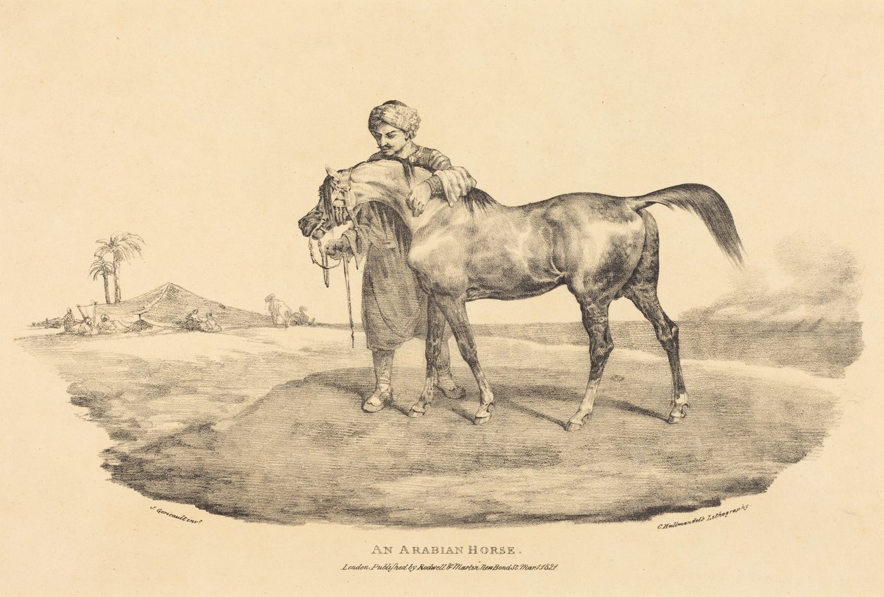 Un cheval arabe - Theodore Gericault