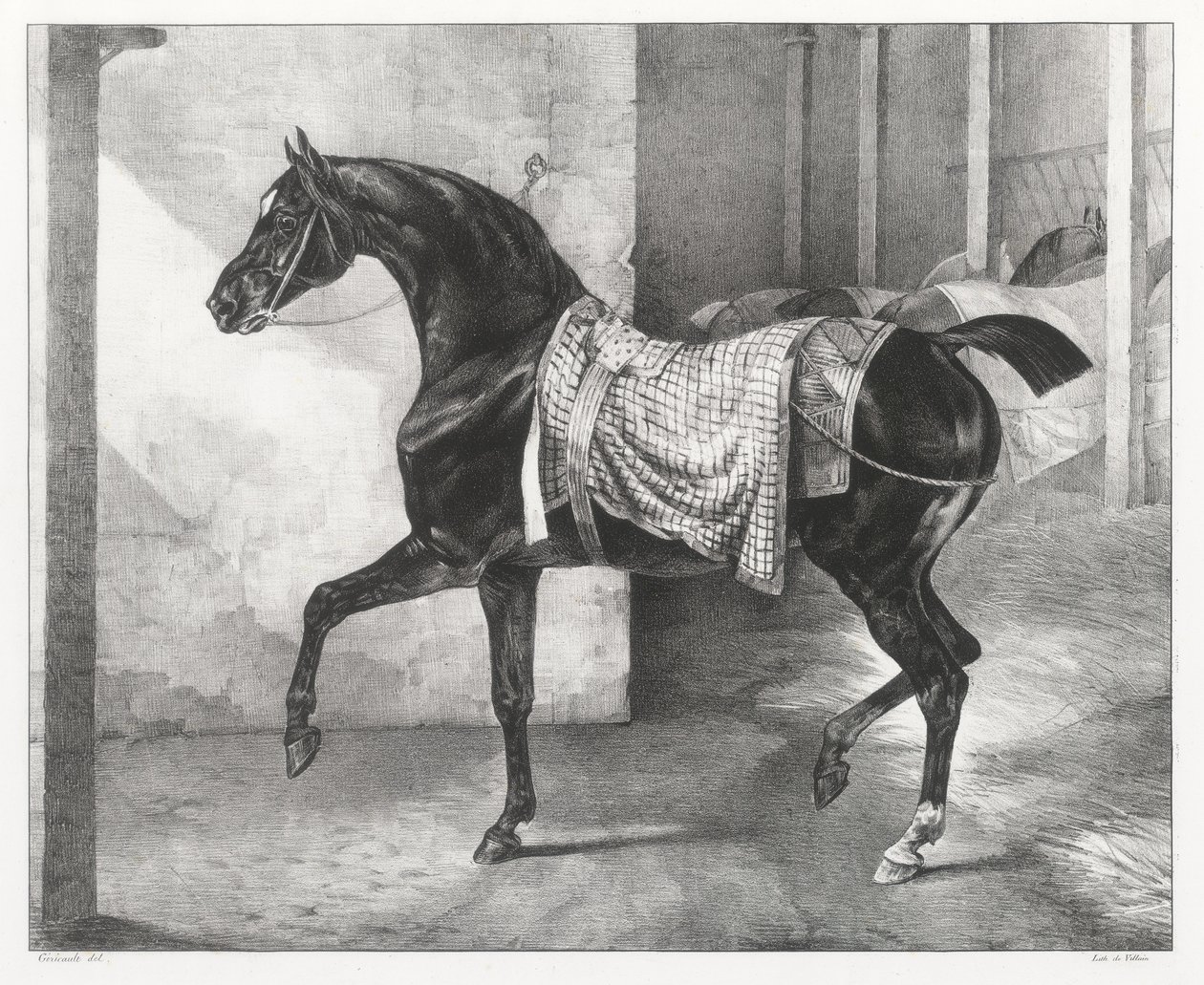 Cheval noir attaché dans une écurie (A Black Horse Tethered in a Stable) - Theodore Gericault