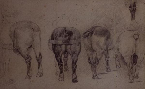 Chevaux attelés - Theodore Gericault