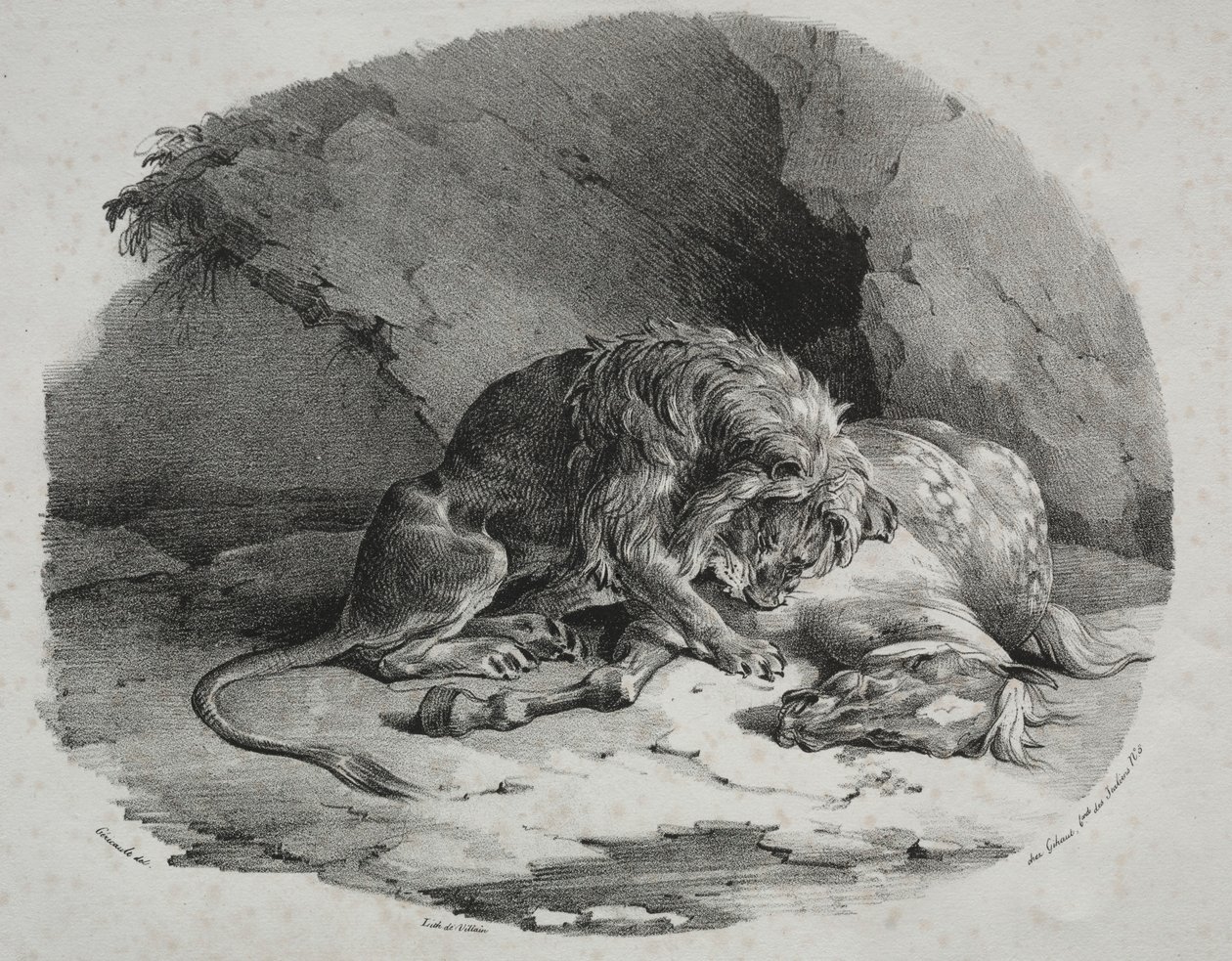Cheval dévoré par un lion - Theodore Gericault