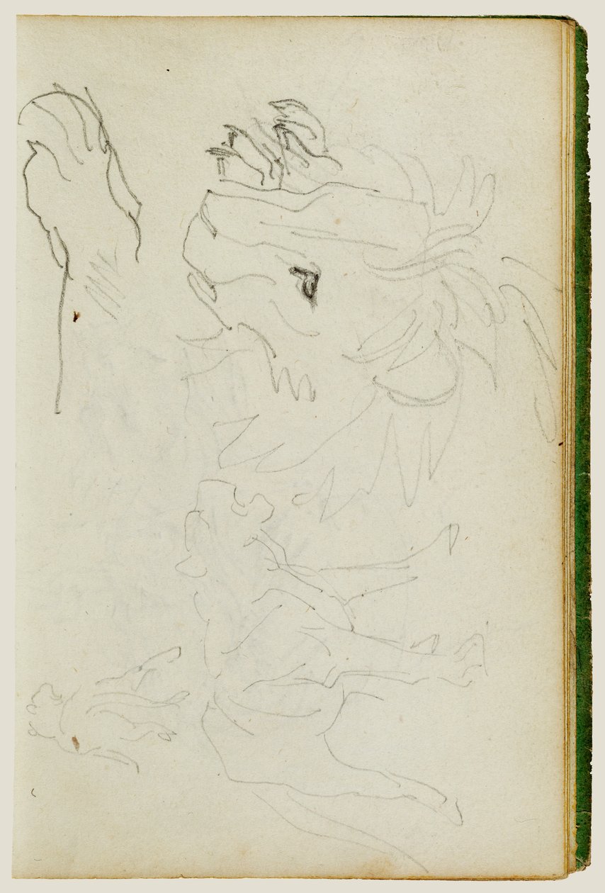 Études sur les lions - Theodore Gericault