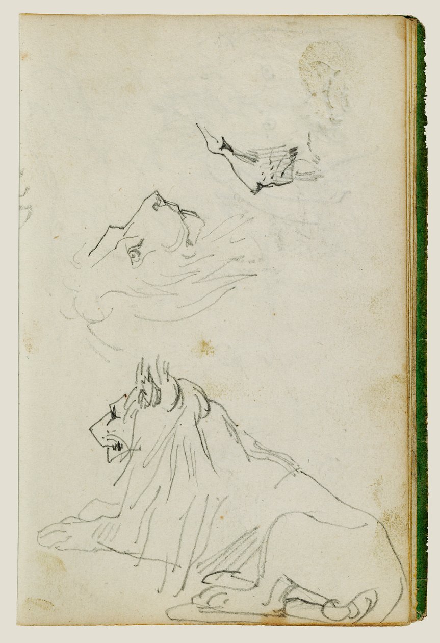 Lion assis, deux études de têtes de lion - Theodore Gericault