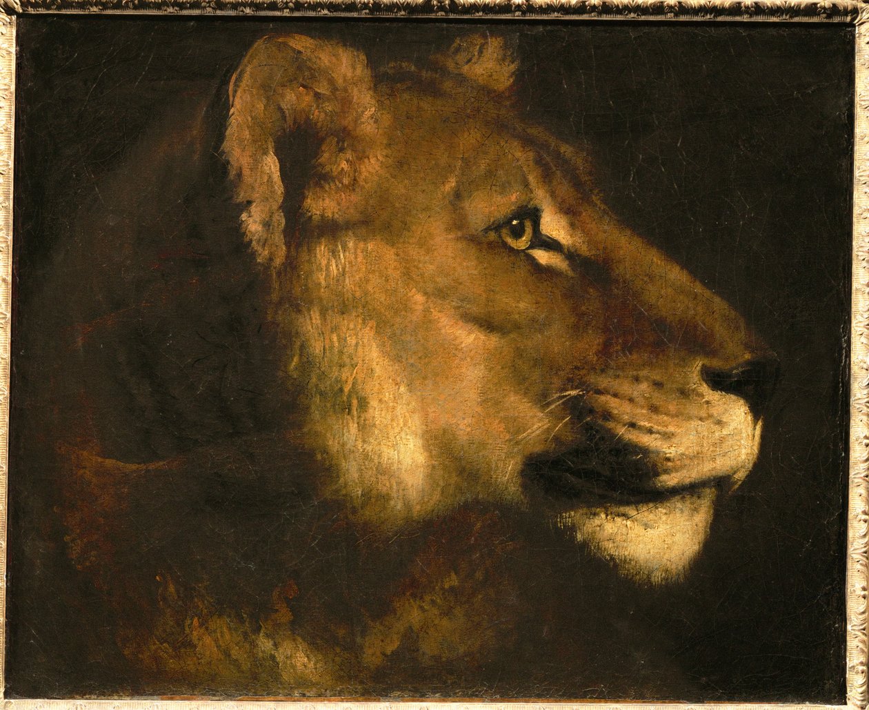 Tete de lionne. Tête de lionne ... - Theodore Gericault