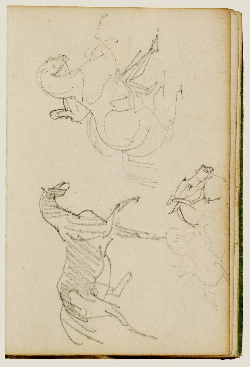 Trois études sur les chevaux - Theodore Gericault