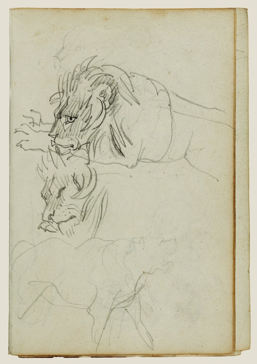Trois études sur les lions - Theodore Gericault