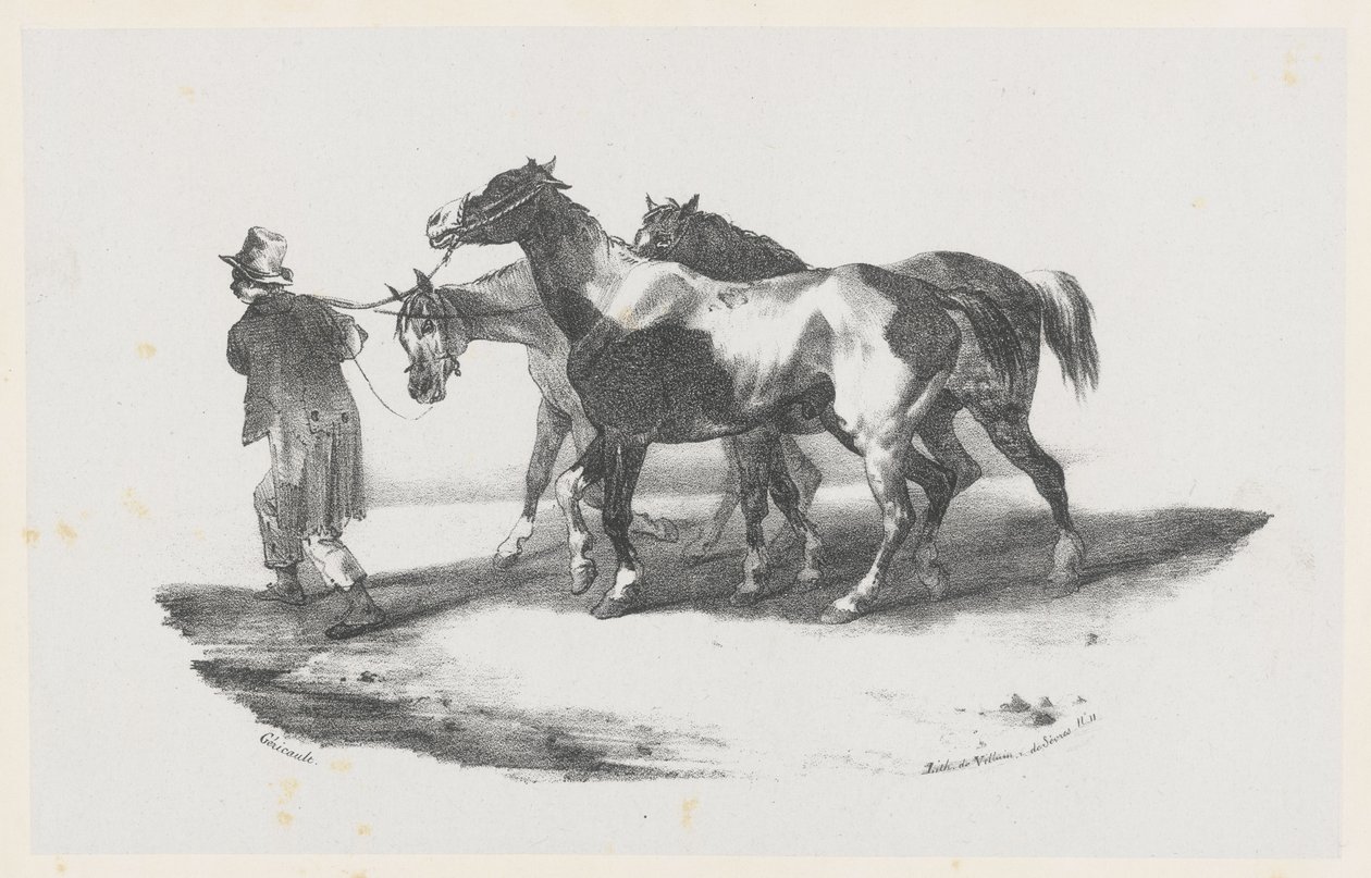 Trois chevaux conduits à l