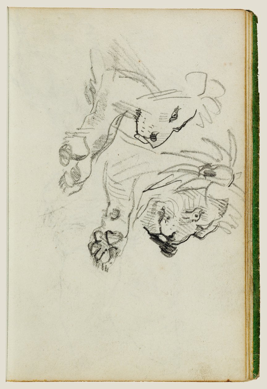 Deux études sur les lions - Theodore Gericault