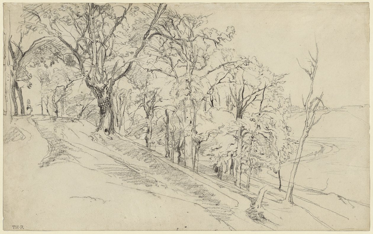 Forêt à Boisrémond (recto) ; Chalet dans une forêt (verso) - Theodore Rousseau