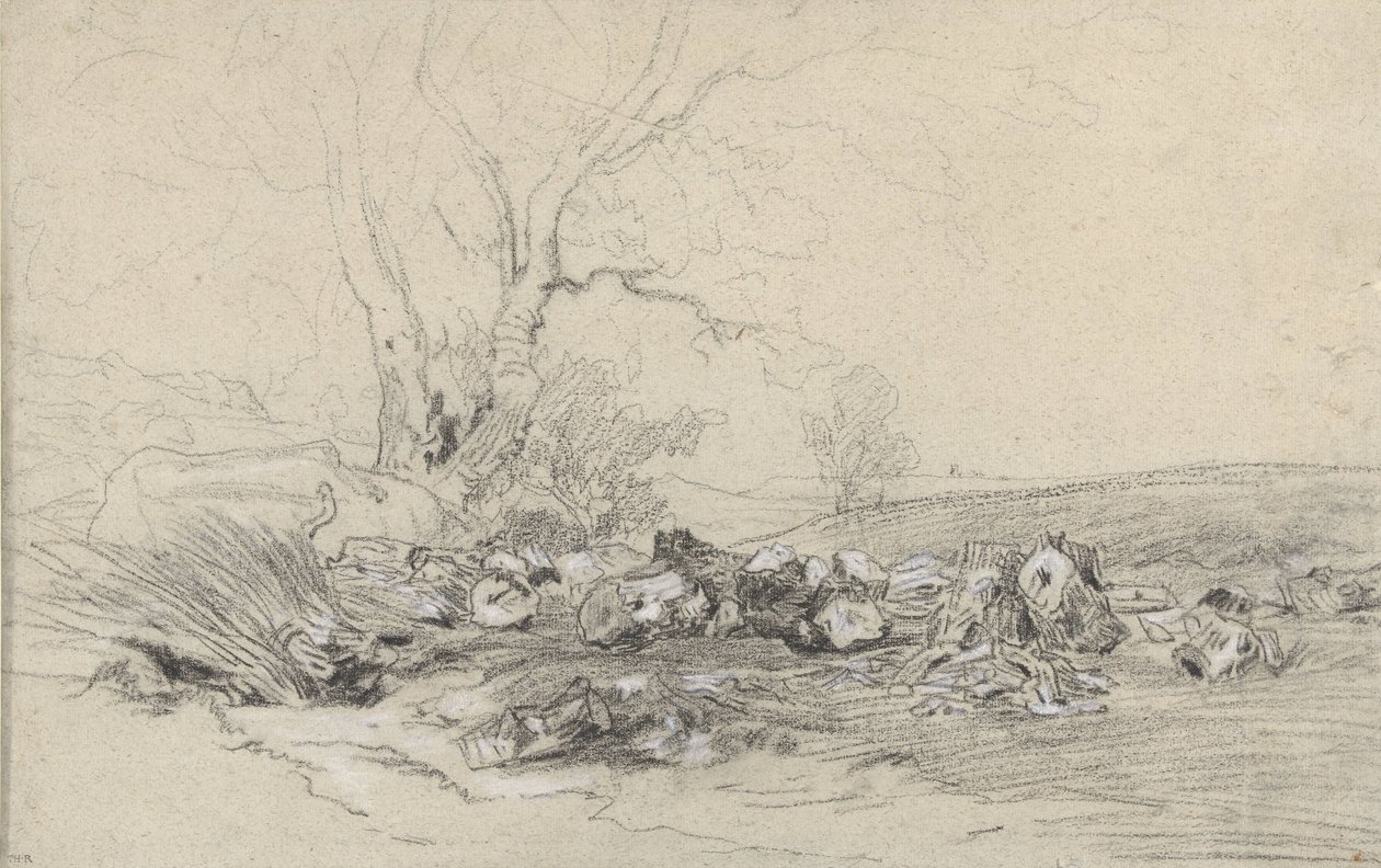Arbres abattus - Theodore Rousseau