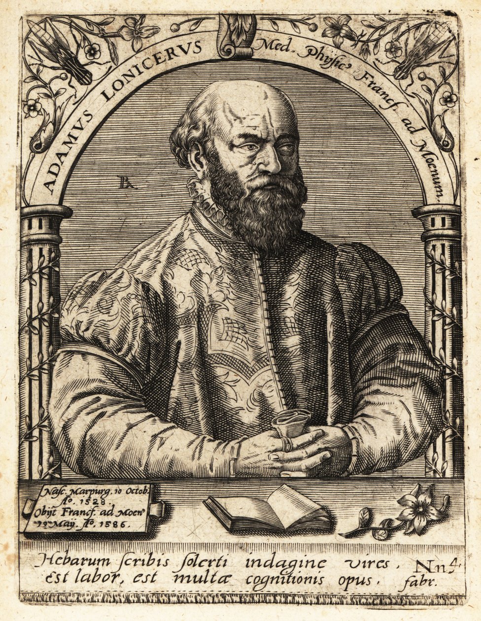 Adam Lonicer ou Lonitzer - Theodore de Bry