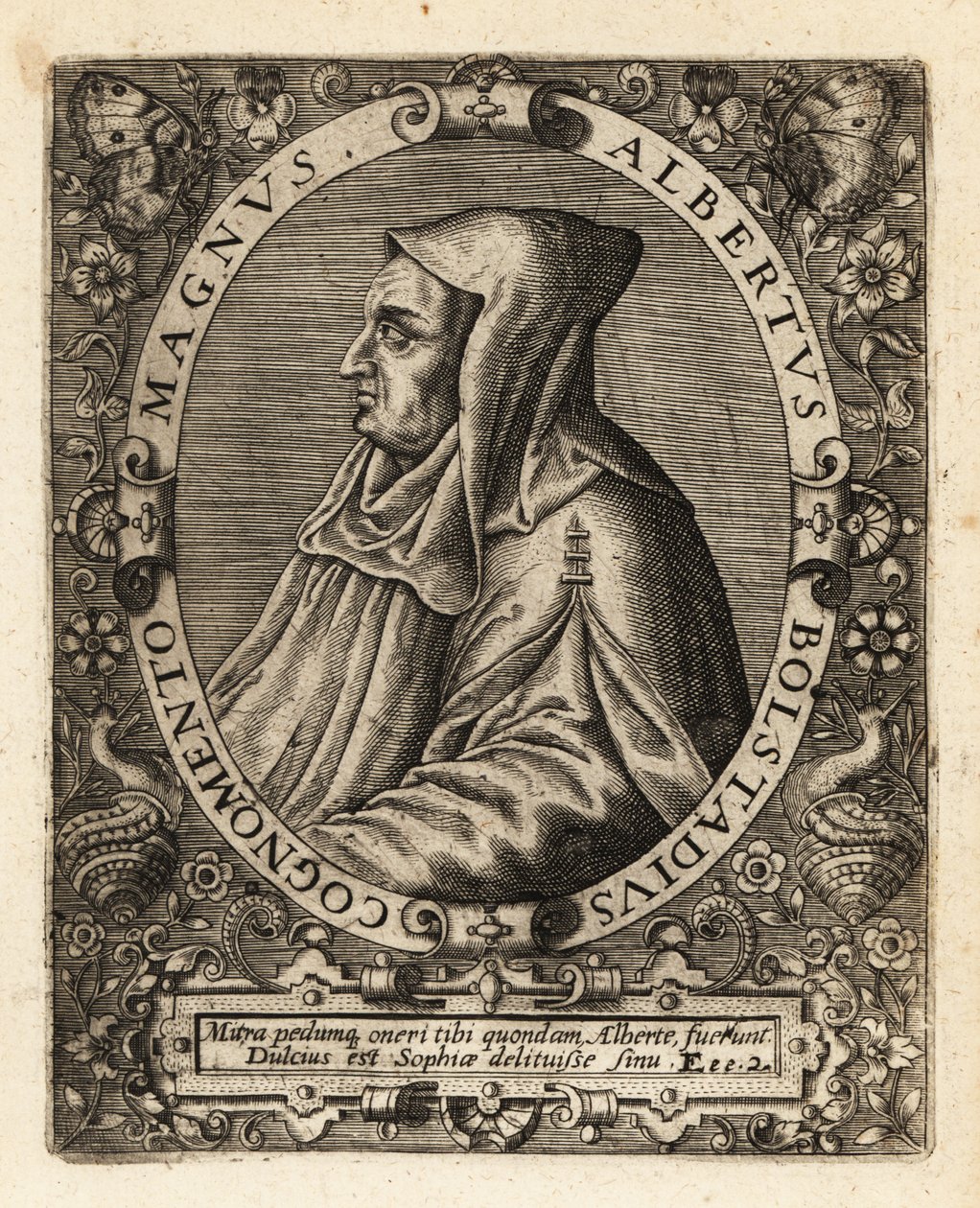 Albertus Magnus, évêque catholique allemand - Theodore de Bry