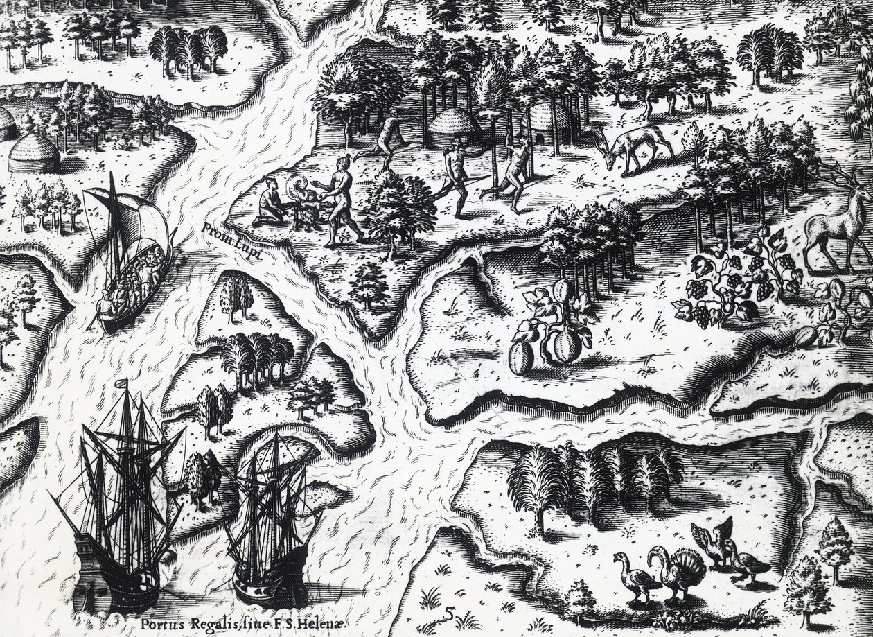 Arrivée des Français à Port Royal en 1564, par Theodor de Bry (1528-1598) d