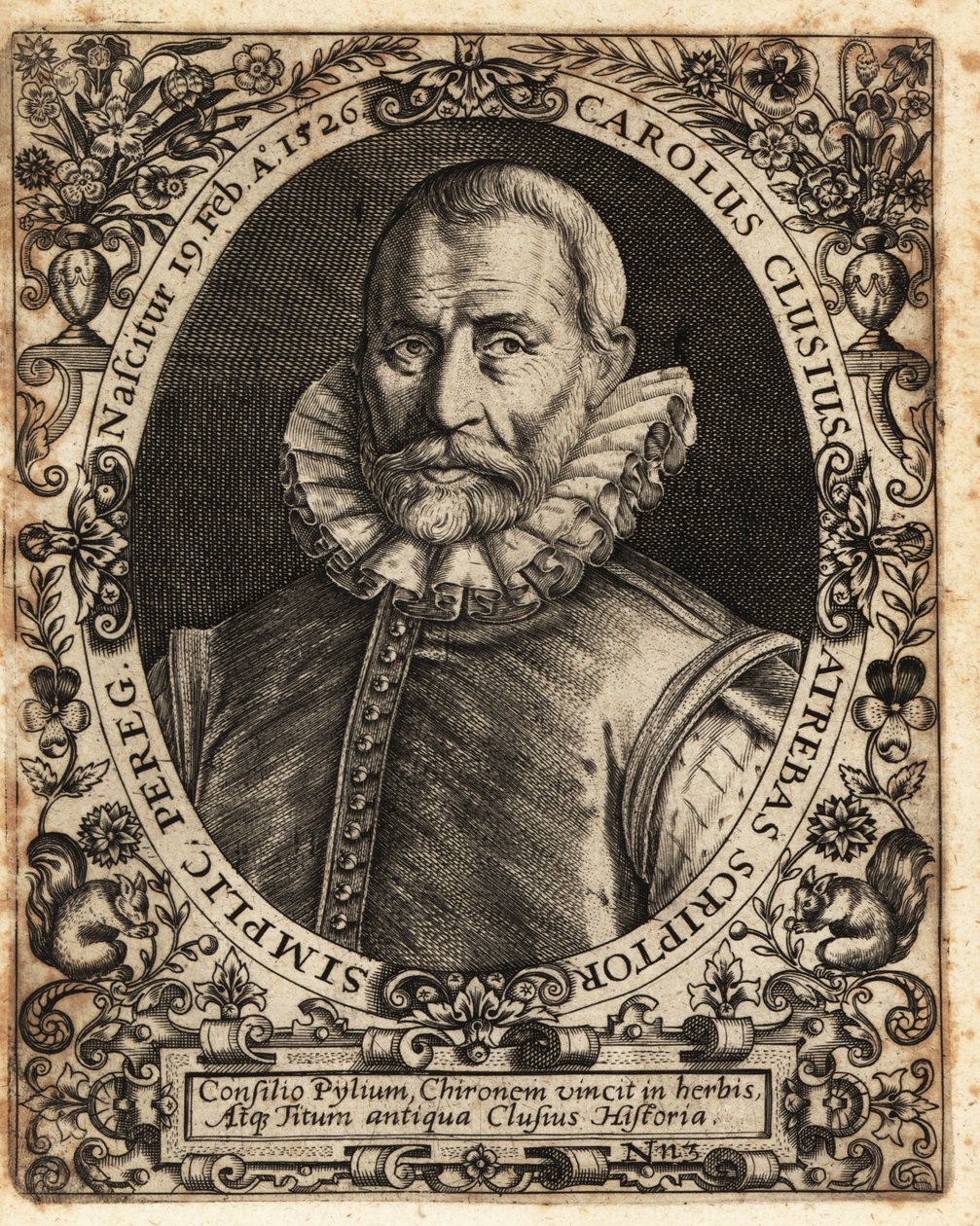 Charles de l’Ecluse, médecin, botaniste - Theodore de Bry