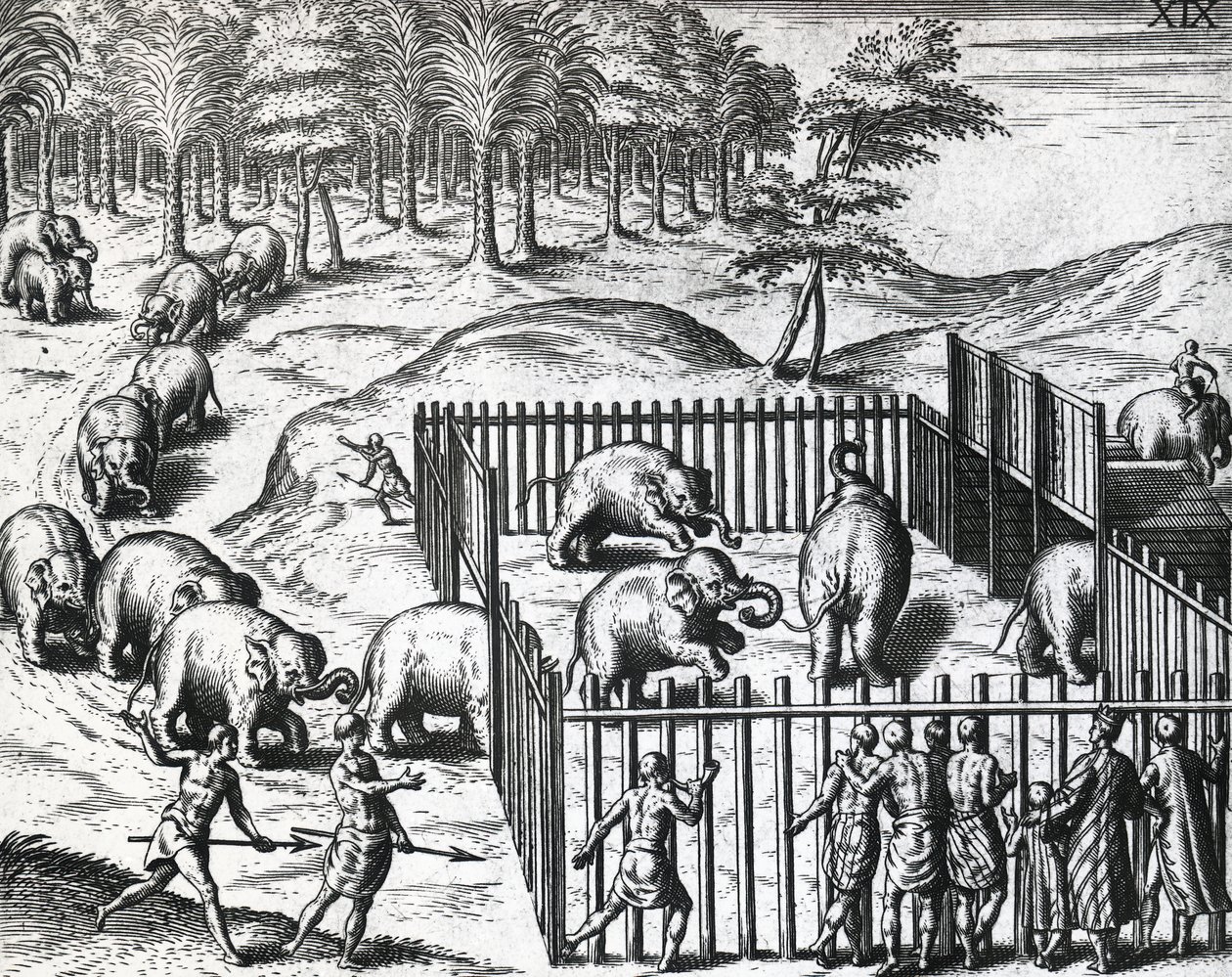 Chasse à l
