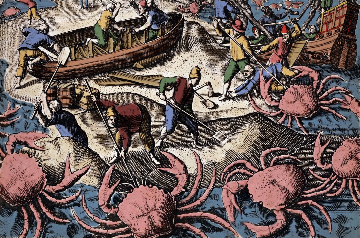 Navigateurs européens combattant un gros crabe. Gravure de "Petites voyages aux Indes Orientales" par Theodore de Bry - Theodore de Bry