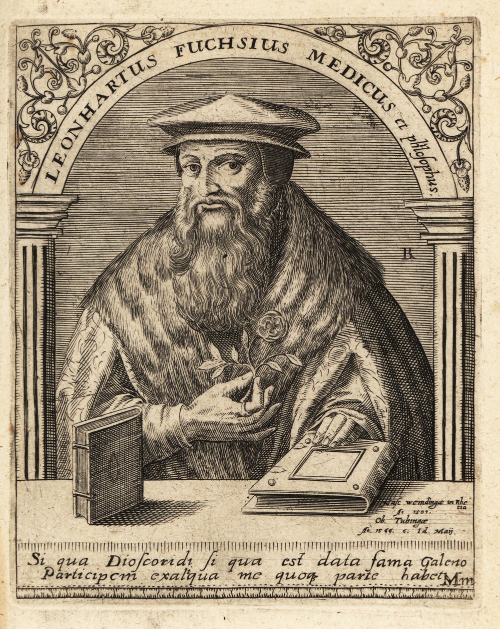 Leonhart Fuchs, médecin et botaniste allemand 1501-1566 - Theodore de Bry