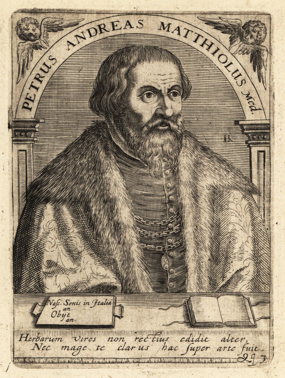 Pietro Andrea Gregorio Mattioli, médecin italien - Theodore de Bry