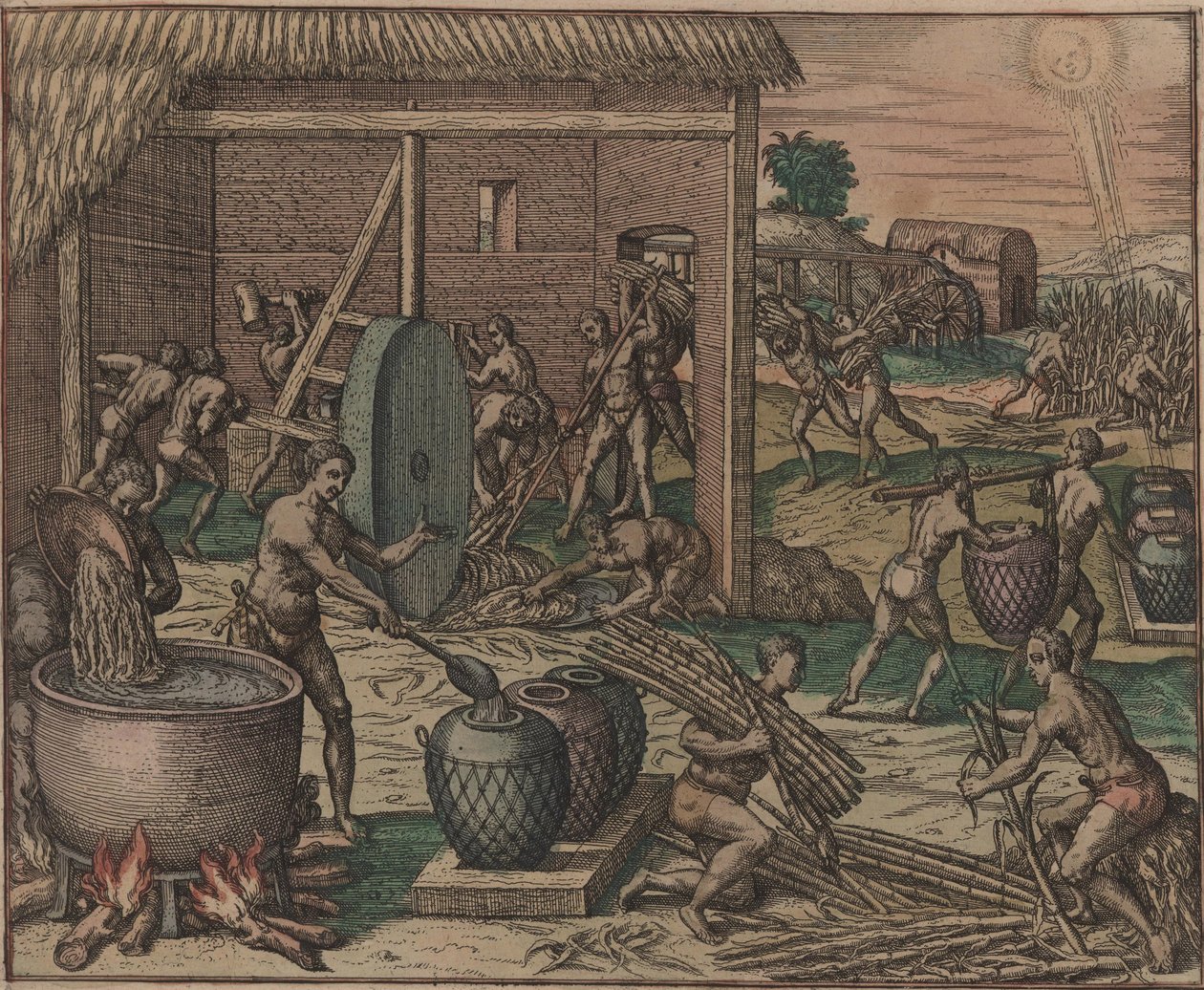 Les esclaves traitent la canne à sucre et fabriquent du sucre, 1595 - Theodore de Bry