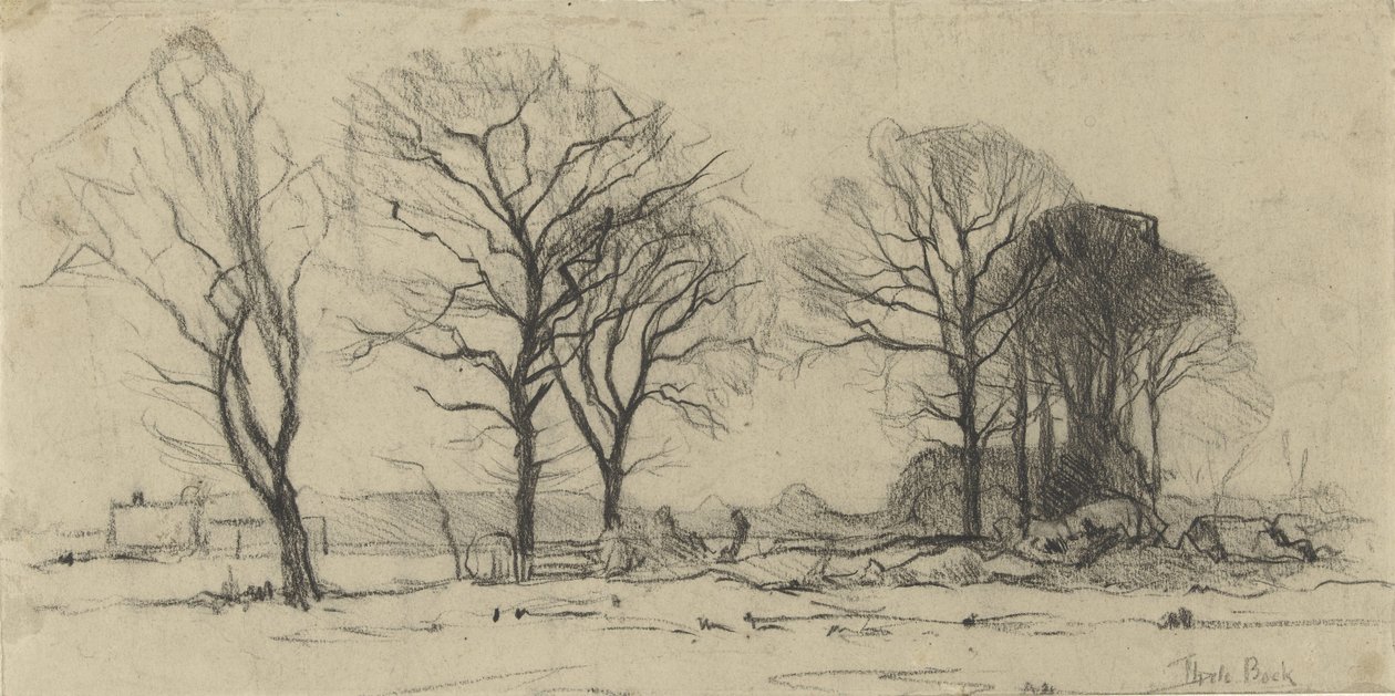 Paysage avec des arbres - Theophile de Bock