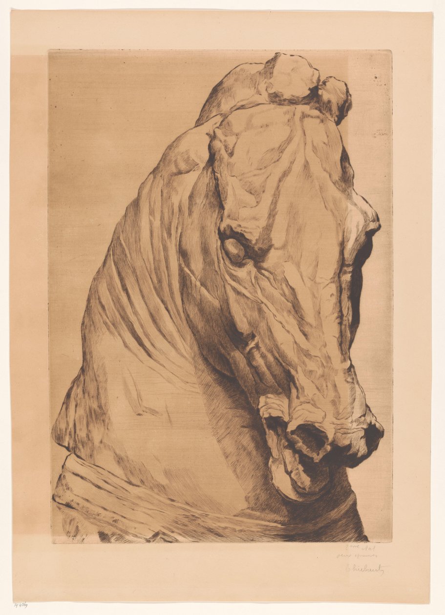 Tête de licorne d