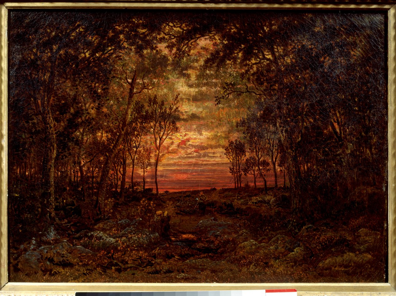 Coucher de soleil dans la forêt - Pierre Etienne Theodore Rousseau