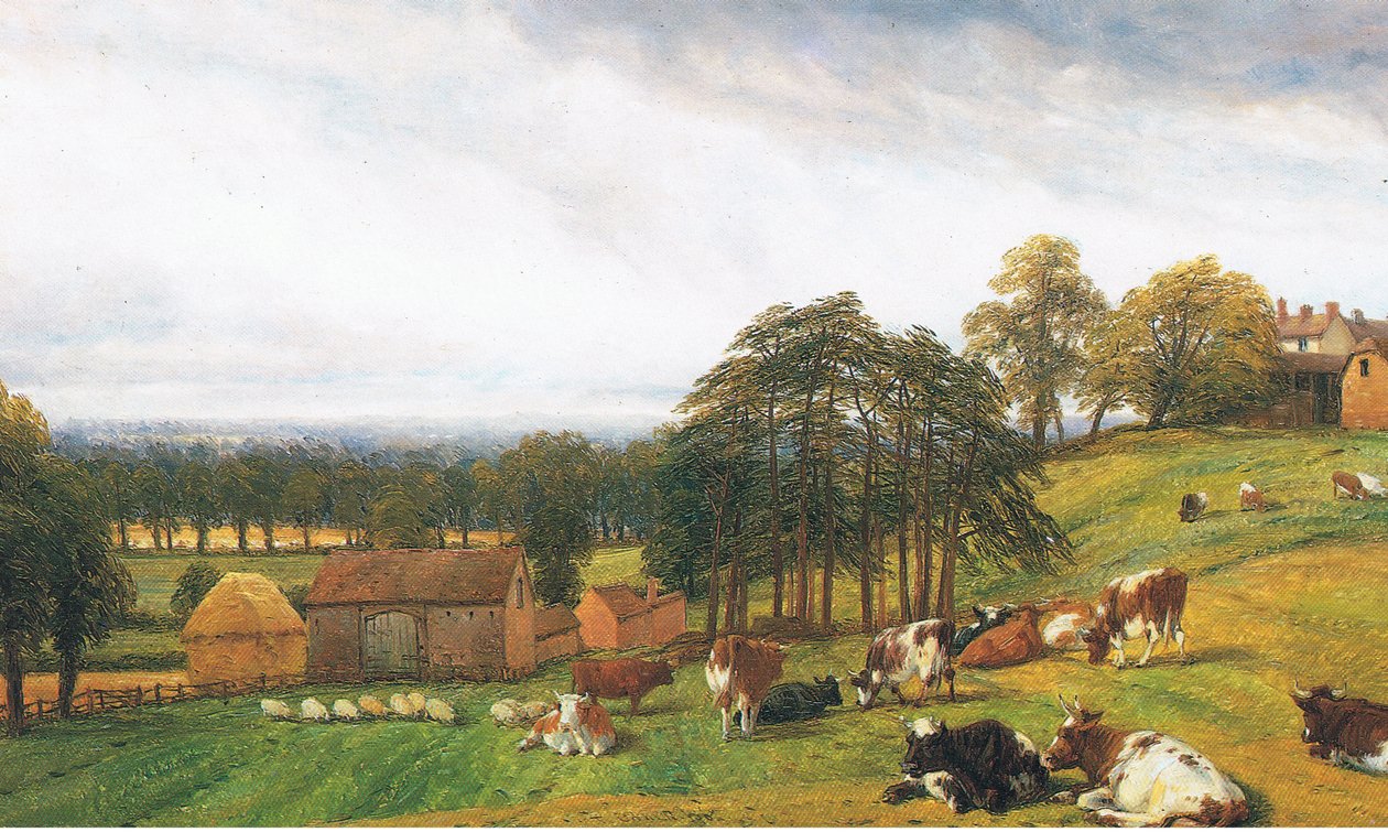 Bétail et moutons à la ferme du Vieux Parc - Thomas Baker