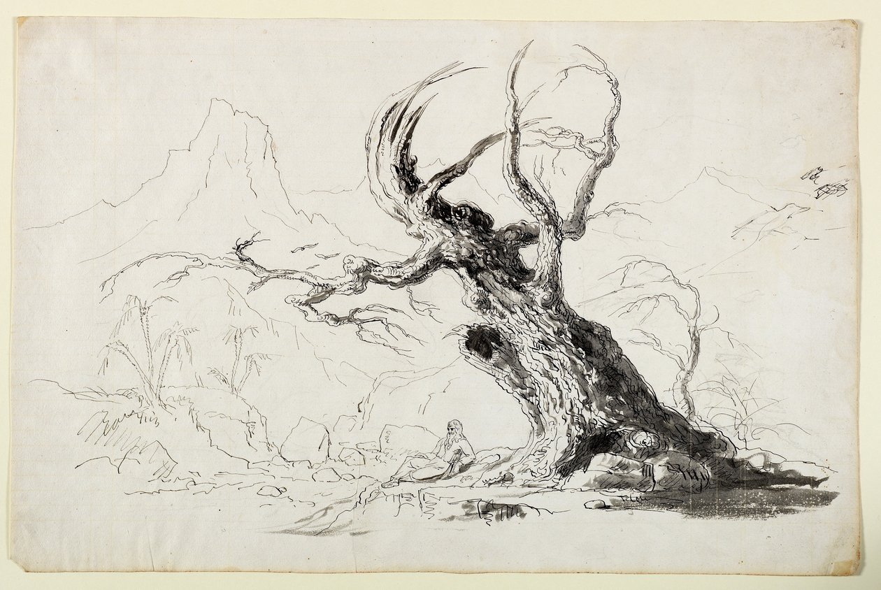 Grand arbre noueux avec un homme barbu assis en dessous - Thomas Cole
