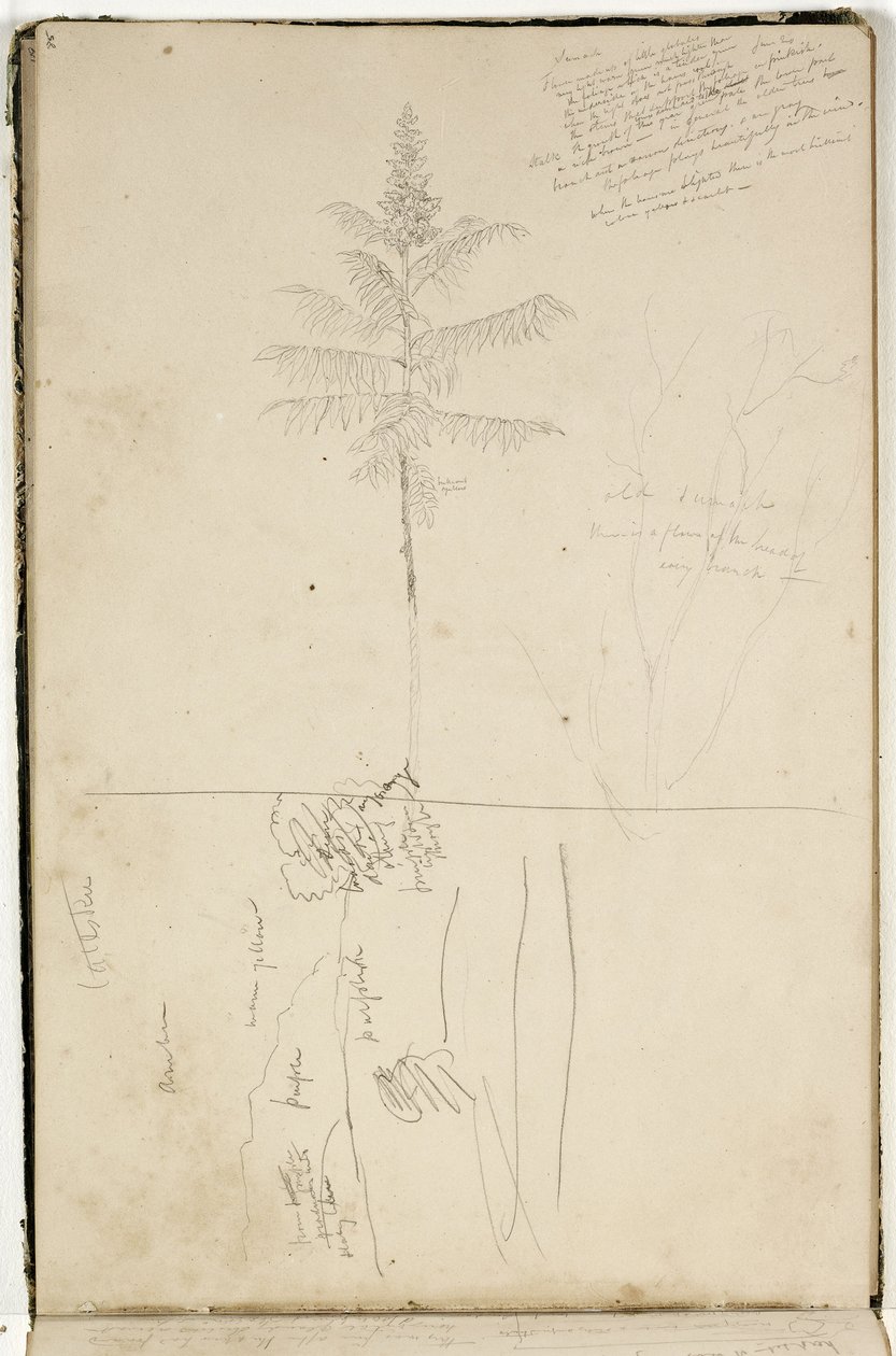 Sans titre, croquis du paysage de Catskill et étude de l