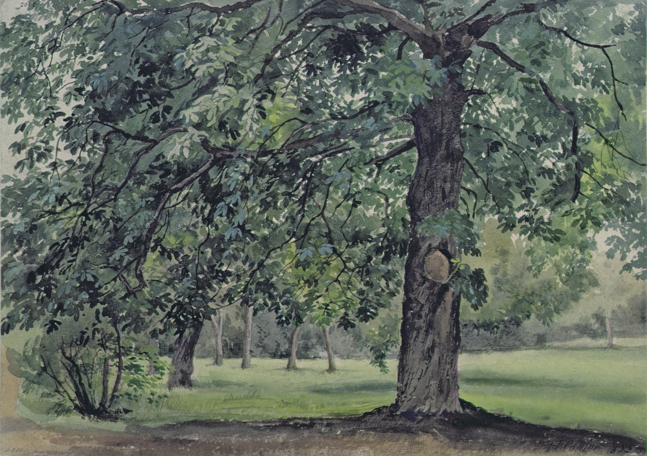 Paysage avec Châtaignier au Premier Plan - Thomas Collier