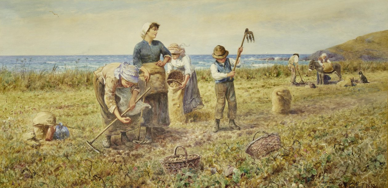 La récolte de pommes de terre - Thomas James Lloyd